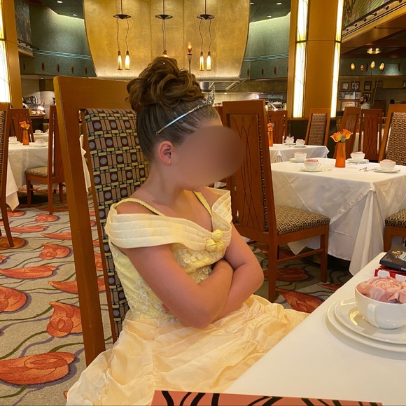 Disney Signature Princess Gown from Bibbidi Bobbidi Boutique in Disneyland - Picture 4 of 5